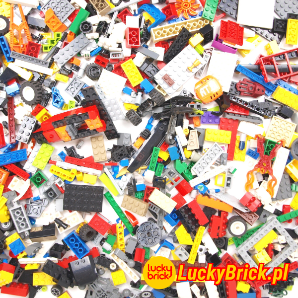 Klocki LEGO Na Wagę Klocki LEGO Na Kilogramy 1KG Oryginalne LEGO 1 Kilogram KG